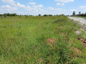 Stands & Residential Land