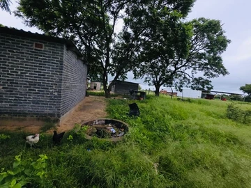 Farm & Agricultural Land