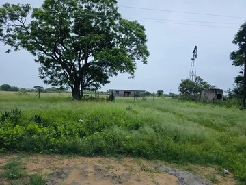 Farm & Agricultural Land