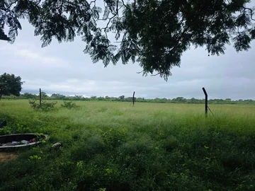 Farm & Agricultural Land
