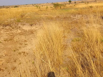 Commercial & Industrial Land